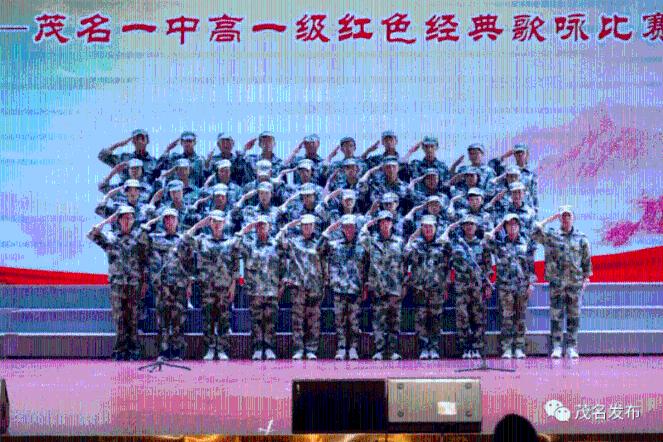 探秘蜗牛世界,发现新知识-为什么老公突然想让我生个女儿。我们自己有个儿子了?问答平台